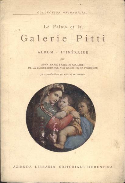 Le Palais Et La Galerie Pitti