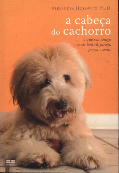 A Cabeça Do Cachorro