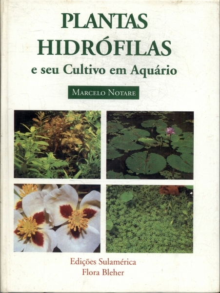 Plantas Hidrófilas E Seu Cultivo Em Aquário