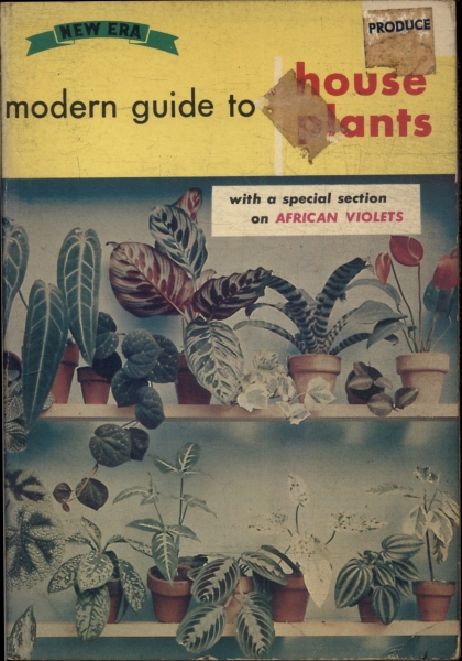New Era: Modern Guide To House Plants