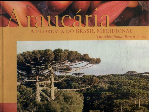 Araucária: A Floresta Do Brasil Meridional