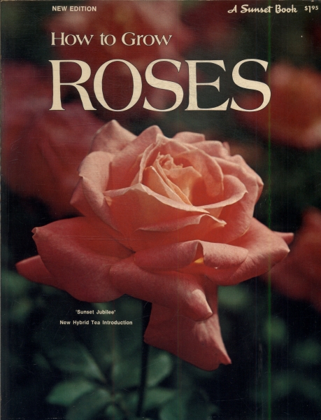 How To Grow Roses