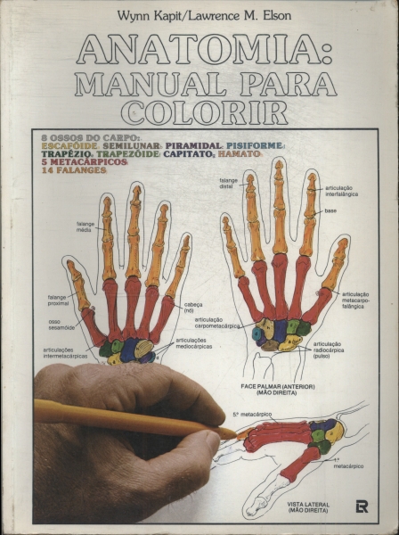 Anatomia: Manual Para Colorir