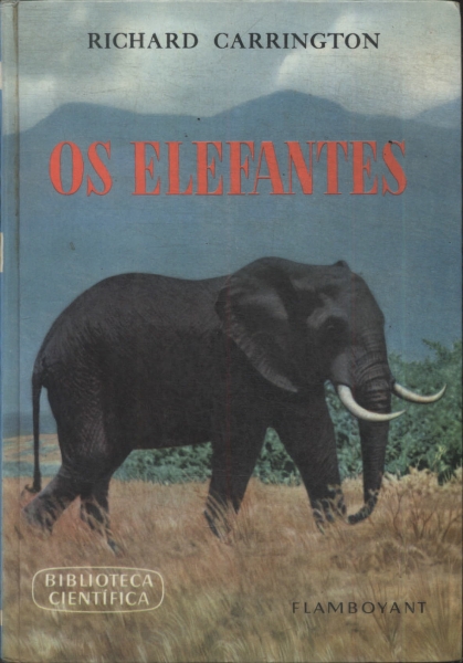 Os Elefantes
