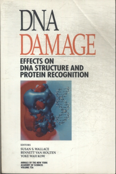 Dna Damage: Effects On Dna Structure And Protein Recognition