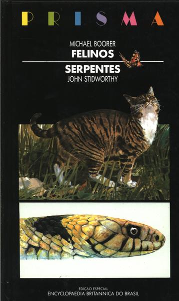 Felinos - Serpentes