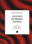 Antonio Henrique Amaral - Obra Em Processo