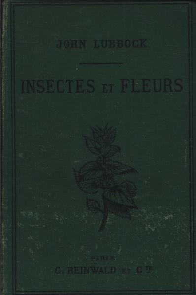 Les Insectes Et Les Fleurs Sauvages