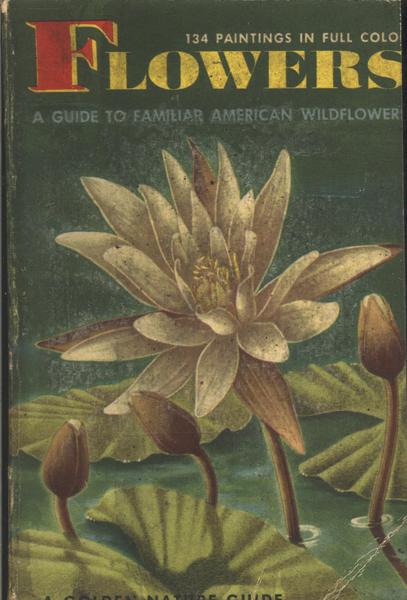 Flowers: A Guide To Familiar American Wildflowers