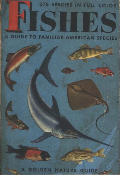 Fishes - A Guide To Familiar American Species