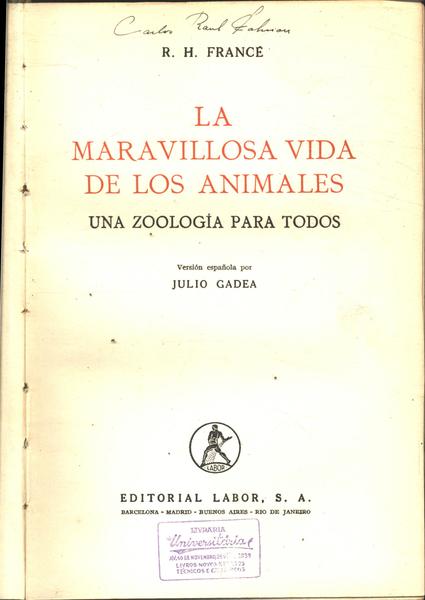 La Maravillosa Vida De Los Animales