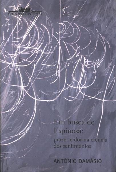 Em Busca De Espinosa