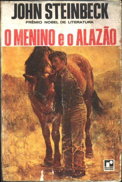 O Menino E O Alazão