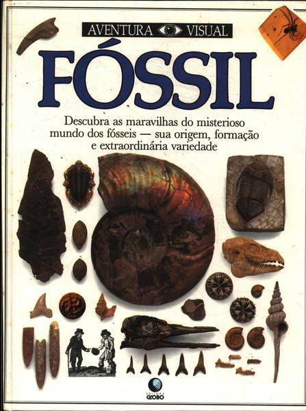 Aventura Visual: Fóssil