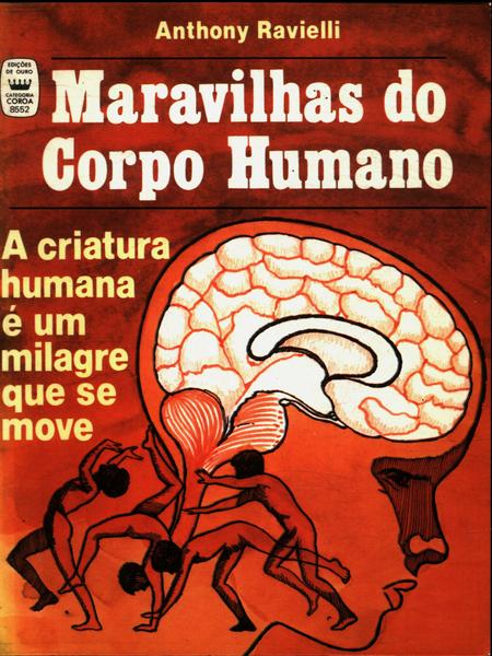 Maravilhas Do Corpo Humano