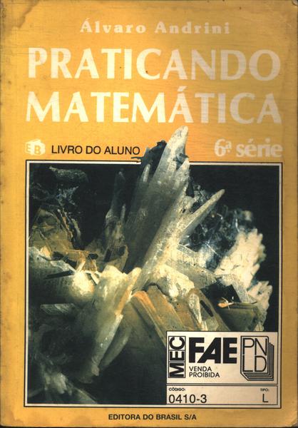 ANDRINI 6ª SÉRIE LIVRO DO PROFESSOR - Matemática