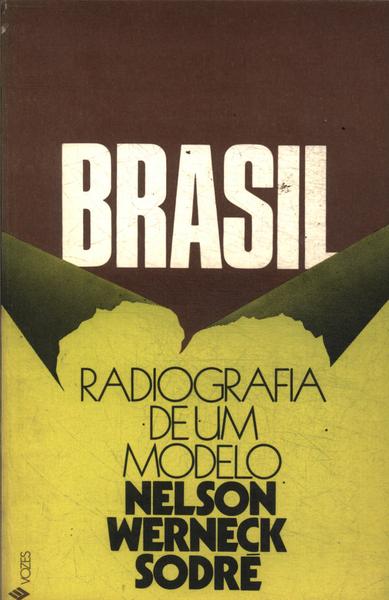 Brasil: Radiografia De Um Modelo