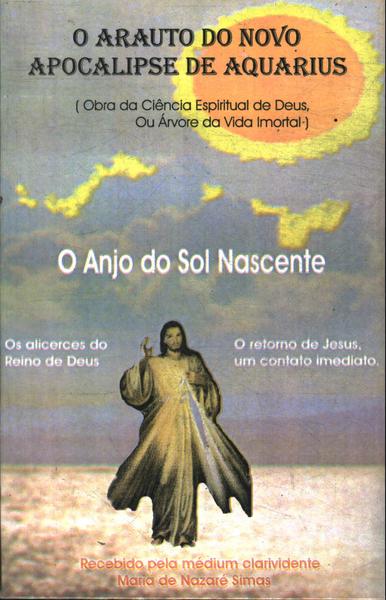 O Anjo Do Sol Nascente