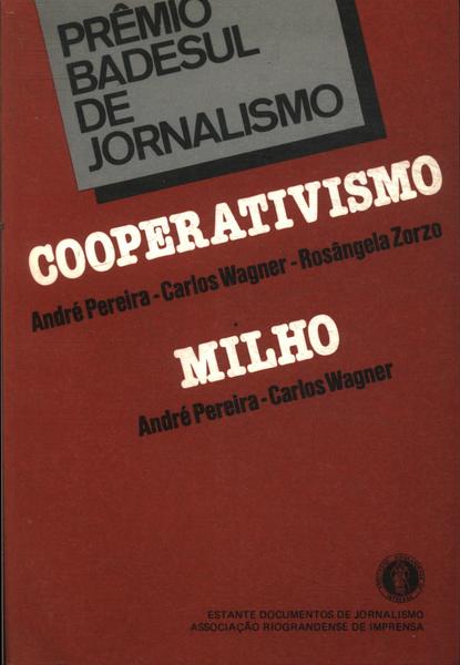 Prêmio Badesul De Jornalismo