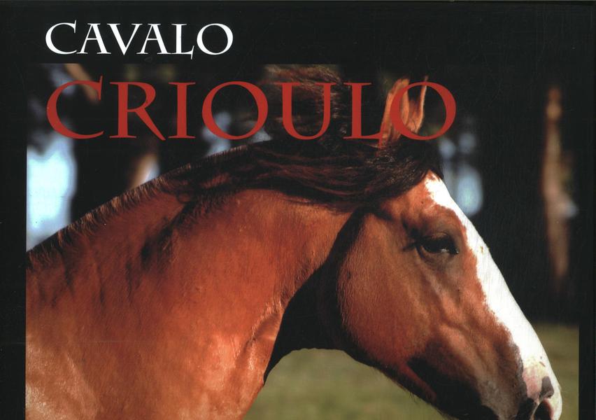 Cavalo Crioulo O Símbolo Do Rio Grande Do Sul