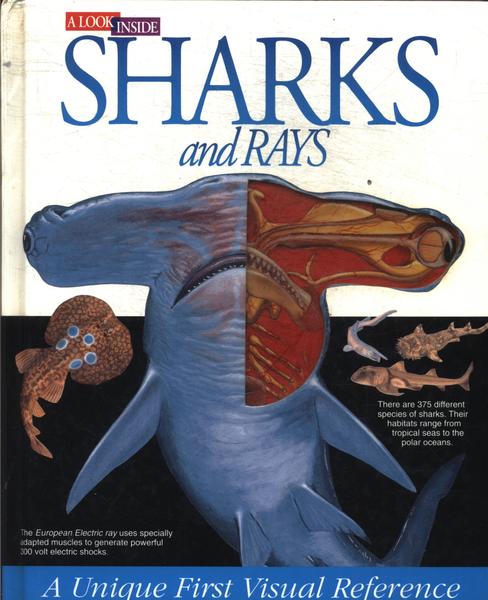 Sharks And Rays