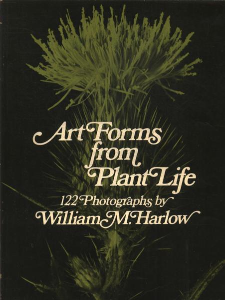 Art Forms From Plant Life