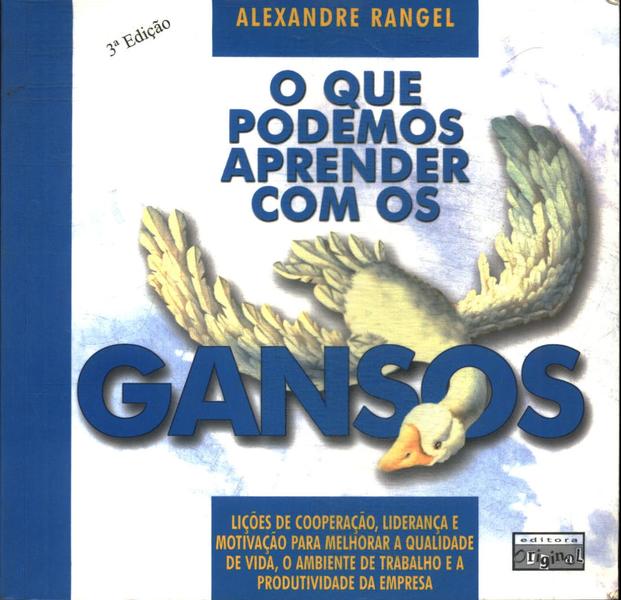 O Que Podemos Aprender Com Os Gansos