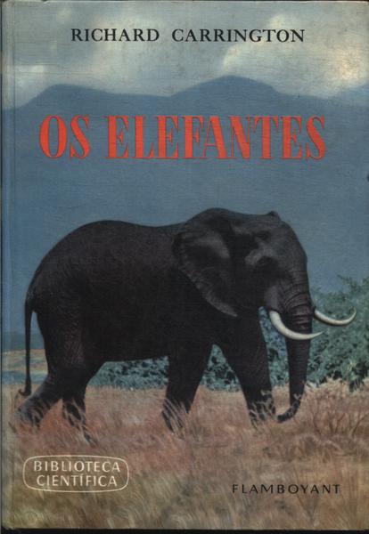 Os Elefantes