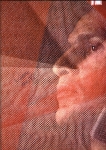 Velô