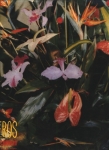Boleros