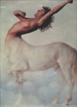 Ride a rock horse 
