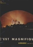 C'est Magnifique 