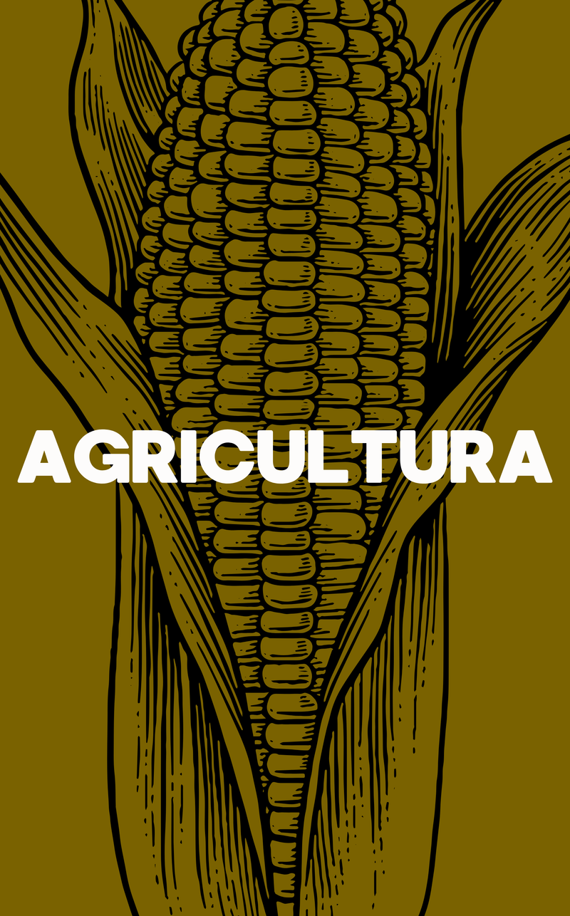 AGRICULTURA