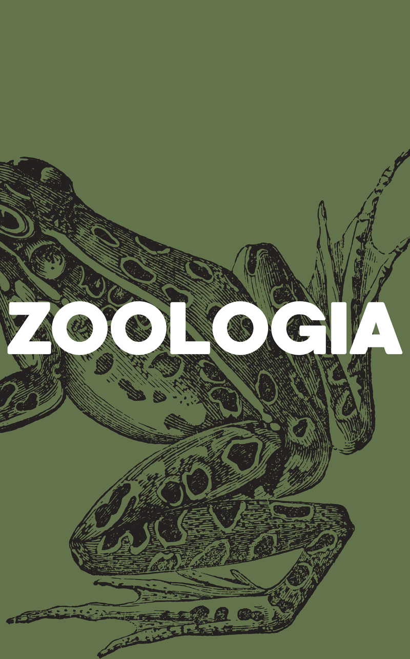 ZOOLOGIA
