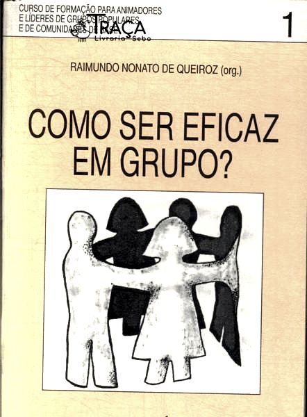 Como Ser Eficaz em Grupo? Vol 1