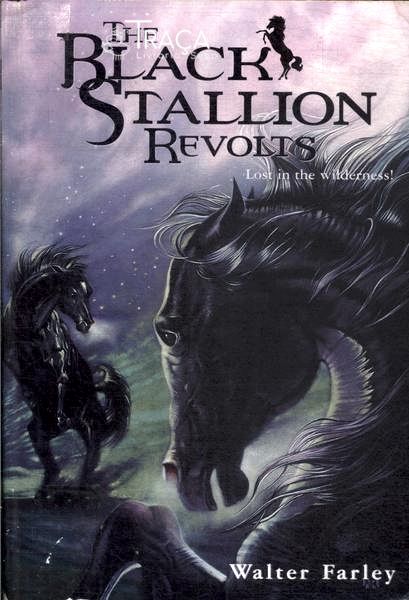 The Black Stallion Revolts