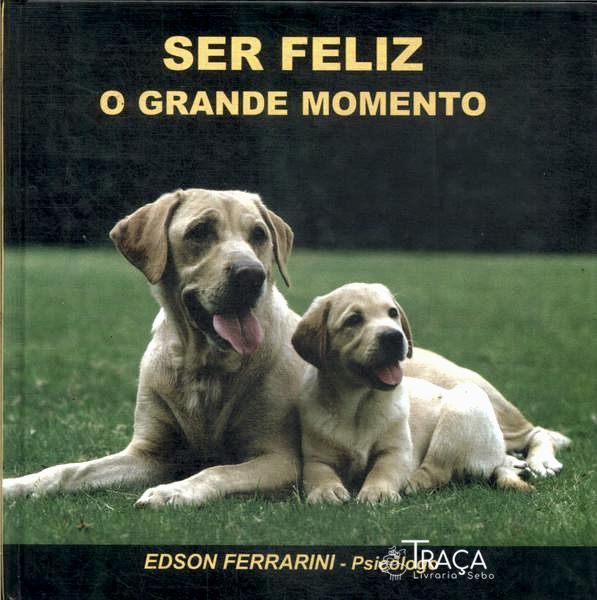 Ser Feliz: o Grande Momento