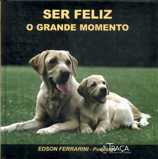 Ser Feliz: o Grande Momento