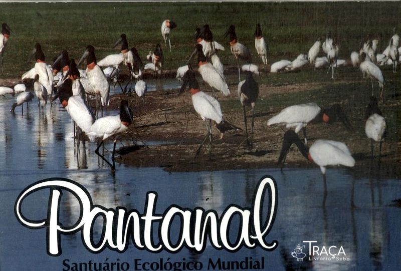 Santuário Ecológico Mundial: Pantanal