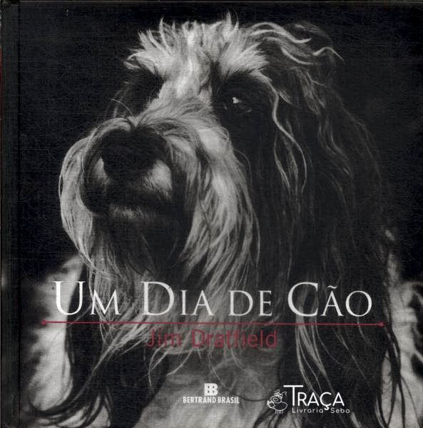 Um Dia de Cão