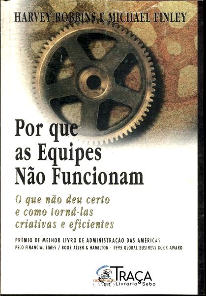Por Que as Equipes Não Funcionam