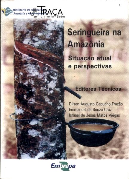 Seringueira Na Amazônia