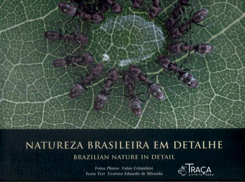 Natureza Brasileira em Detalhe