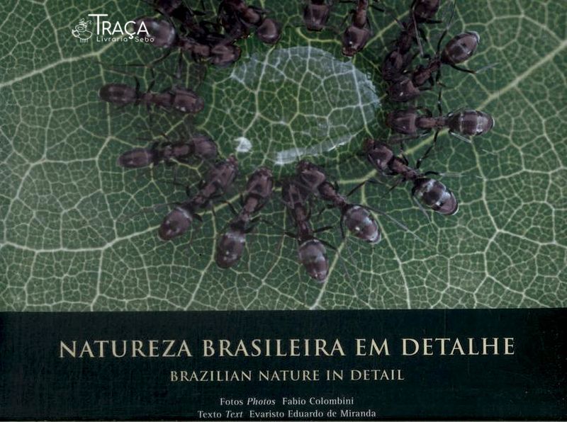 Natureza Brasileira em Detalhe