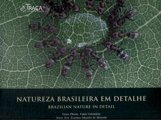 Natureza Brasileira em Detalhe