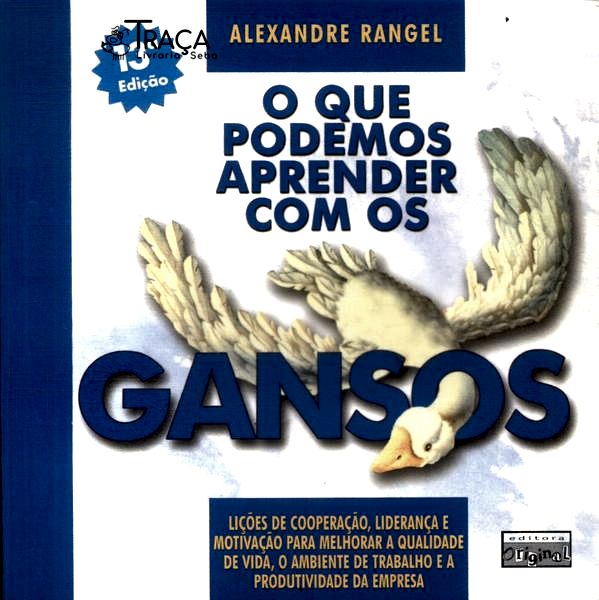 O Que Podemos Aprender com os Gansos