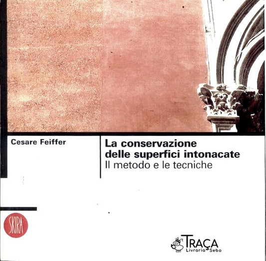 La Conservazione Delle Superfici Intonacate