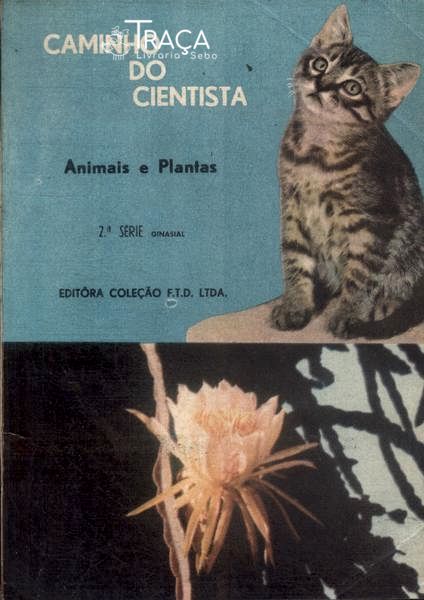 Caminho do Cientista