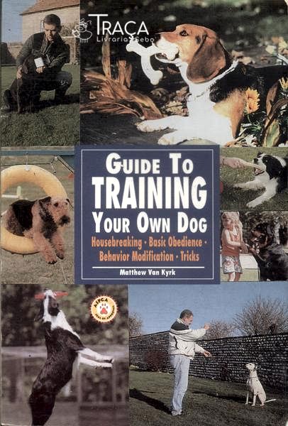 Guide To Training Your Own Dog
