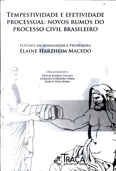 Tempestividade e Efetividade Processual (2010)
